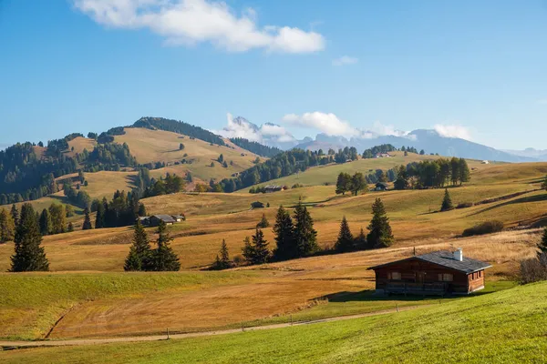 Alpe Siusi Seiser Alm Alpenweide Achtergrond Met Het Sassolungo Langkofelgebergte — Stockfoto