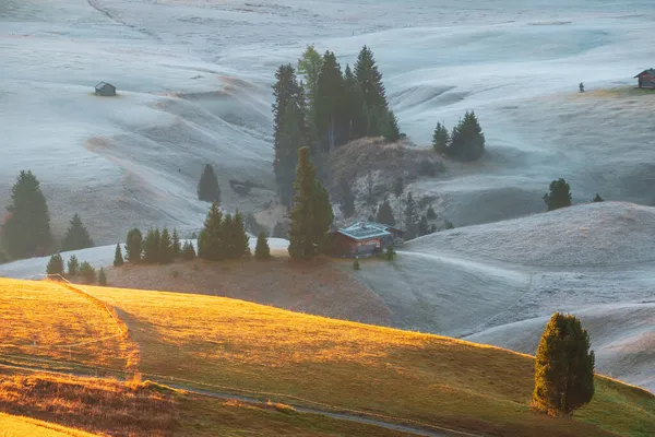 Alpe Siusi Seiser Alm Prairie Alpine Avec Beau Lever Soleil — Photo