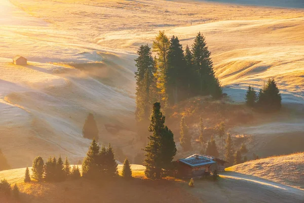Alpe Siusi Seiser Alm Alpejska Łąka Pięknym Mglistym Wschodem Słońca — Zdjęcie stockowe