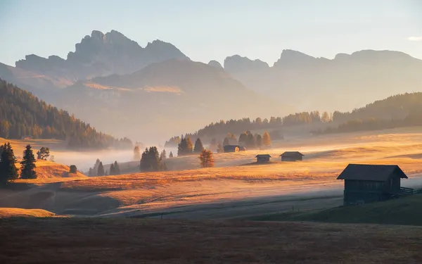 Alpe Siusi Seiser Alm Prado Alpino Con Hermoso Amanecer Brumoso Fotos de stock