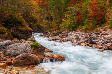 Almanya 'nın Bavyera eyaletinde Ramsau bei Berchtesgaden' de sonbahar renklerinde Wimbachklamm vadisi yakınlarındaki vadide çok su bulunan hızlı akan nehir.