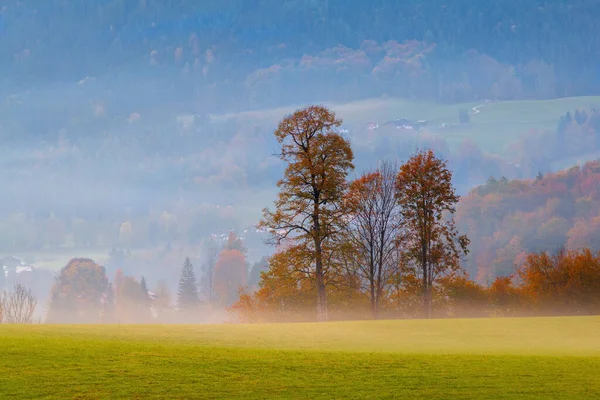 Mlhavé Ráno Typická Horská Scenérie Pozadí Známého Pohoří Watzmann Krásných — Stock fotografie