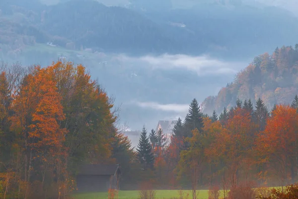Туманное Утро Типичные Горные Пейзажи Фоне Знаменитых Гор Вацмана Красивых — стоковое фото