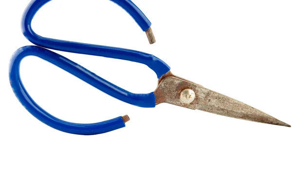 Old scissors on white background — Stock Photo, Image