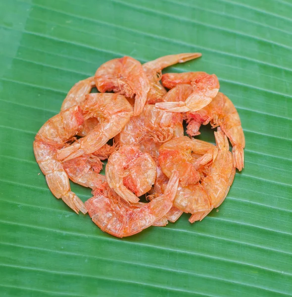 Dried shrimp on green leaf background — Stock Photo, Image