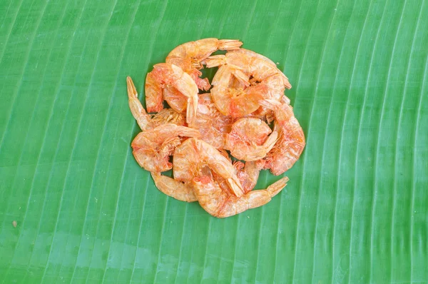 Dried shrimp texture background — Stock Photo, Image