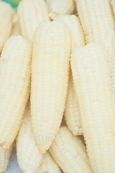 White Boiled corn texture background — Stock Photo, Image