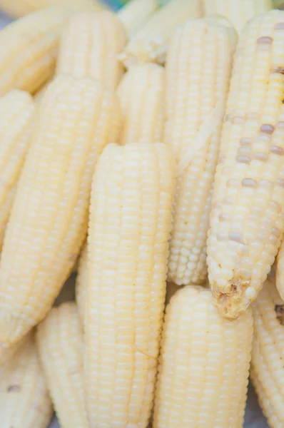 White Boiled corn texture background — Stock Photo, Image