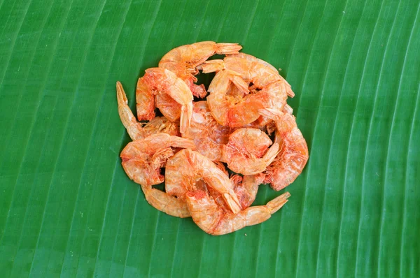 Dried shrimp texture background — Stock Photo, Image
