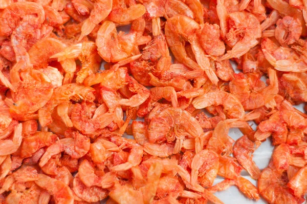 Dried shrimp texture background — Stock Photo, Image