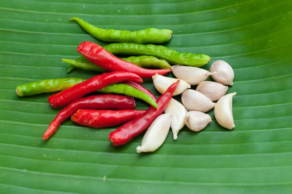 Chilli and garlic on green leaf — Stock Photo, Image