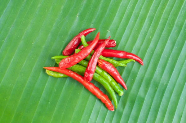 Red and green chilli on leaf show food ingradient concept — Stock Photo, Image