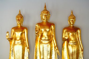 Buda'nın arka planda Tayland