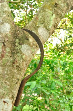çiftlik Şubesi ağaçta paslı tırpan