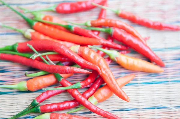 Red and green chilli on leaf show food ingradient concept — Stock Photo, Image