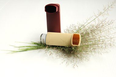 beyaz zemin üzerinde astım inhaler ve çimen çiçek