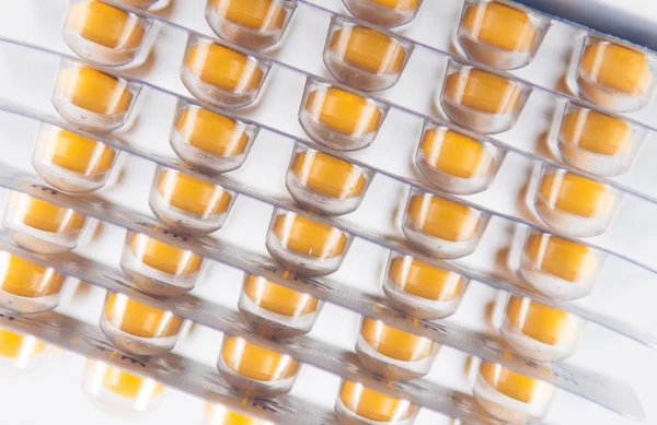 Geschlossene Schicht aus gelben Tabletten in Blisterverpackung auf weißem Schaumstoff — Stockfoto