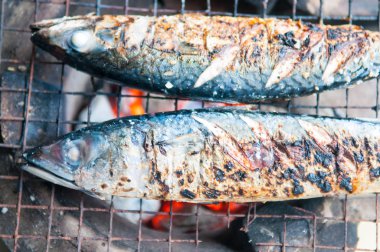 kavrulmuş saba balık ızgara.