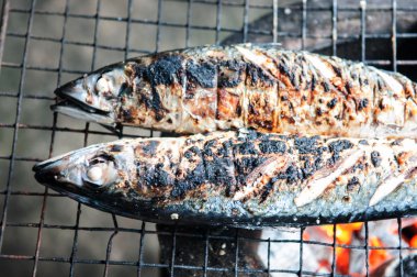 kavrulmuş saba balık ızgara