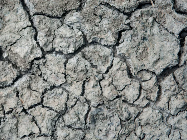 Closed up dry soil texture background — Stock Photo, Image