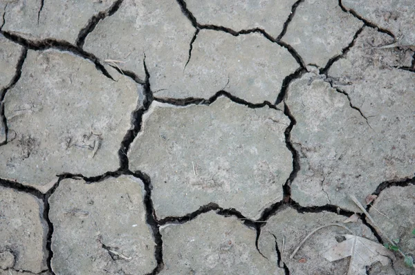 Craked dry soil texture background — Stock Photo, Image