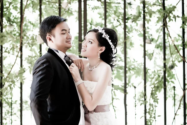 Wedding couple show concept of love — Stock Photo, Image