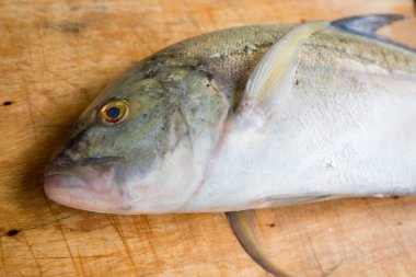 Caranx melampygus, bluefin trevally veya ahşap zeminde siyah ulua