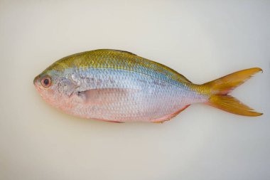 Beyaz kesim tahtasındaki taze çiğ balık sashimi ya da suşi malzemelerini gösteriyor.