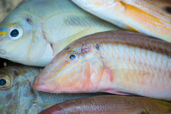 Cerrado Pescado Fresco Bandeja Concepto Alimentación Saludable — Foto de Stock