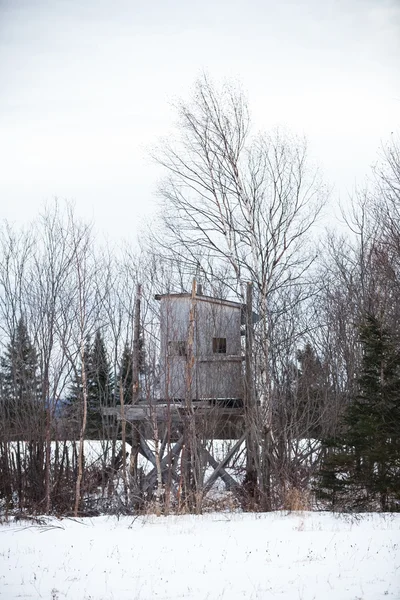 Maison forestière en hiver — Photo