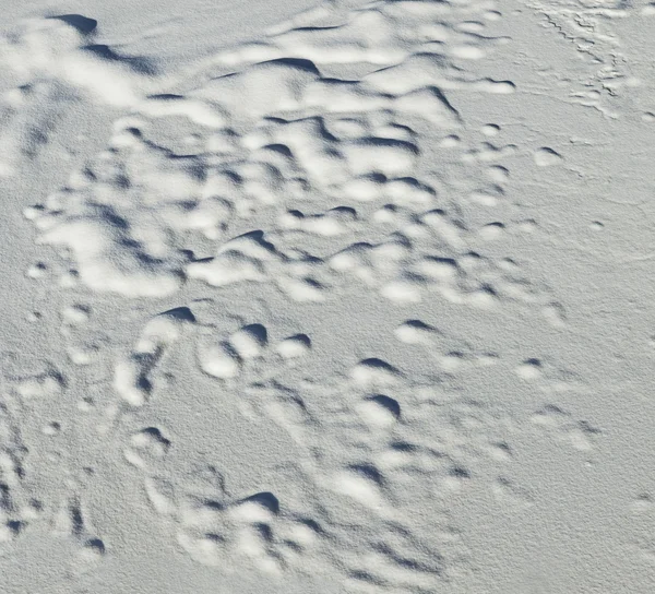 Snow texture — Stock Photo, Image