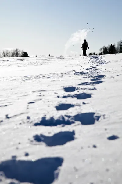 Следы на снегу — стоковое фото