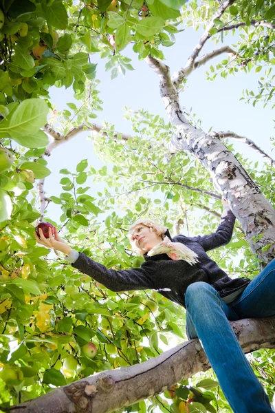 Girl sitting on a tree branch — Stock Photo, Image