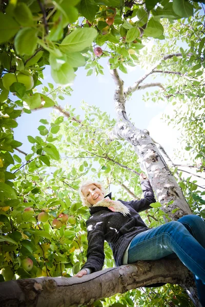 Девушка сидит на ветке дерева — стоковое фото