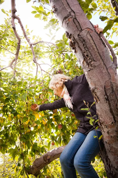Девушка сидит на ветке дерева — стоковое фото