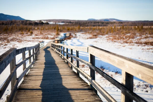 The bridge in the field — Stock Photo, Image