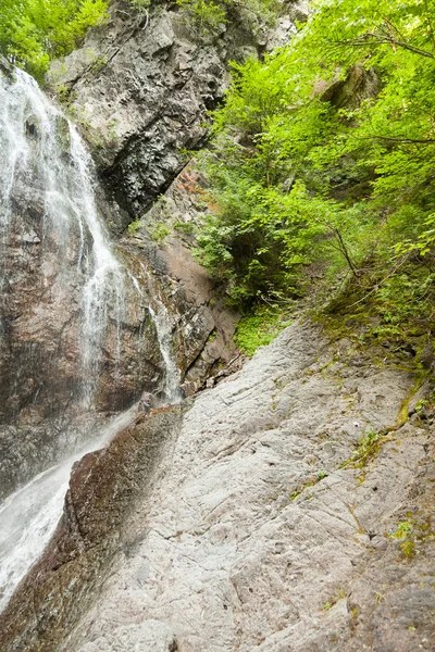 Fossefall i fjell – stockfoto