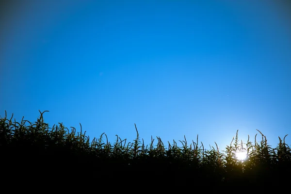 Vista sul tramonto — Foto Stock