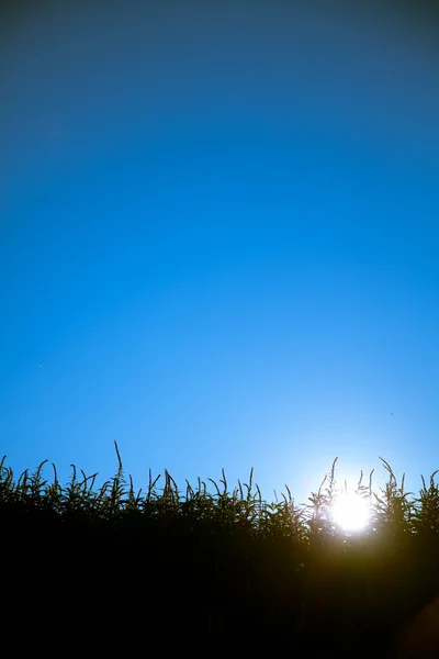 Vista sul tramonto — Foto Stock