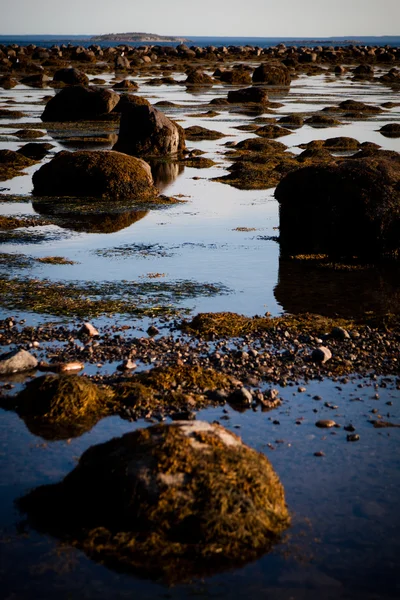 Steine im Wasser — Stockfoto