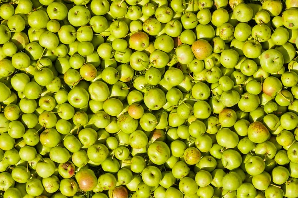 Textura com maçãs — Fotografia de Stock