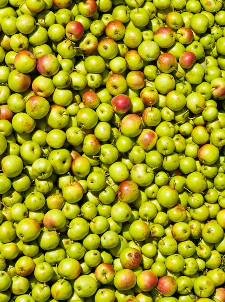 Textura com maçãs — Fotografia de Stock