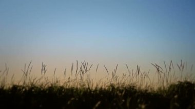 havada bir split yapan erkek