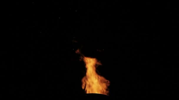 Kamin Feuer mit Audio — Stockvideo