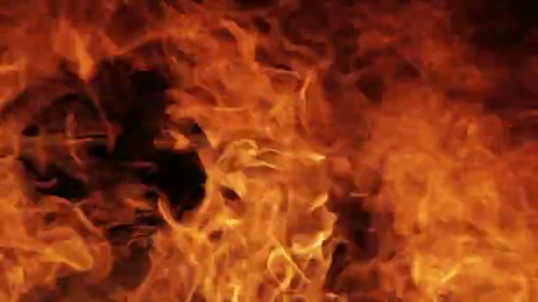 Kamin Feuer mit Audio — Stockvideo