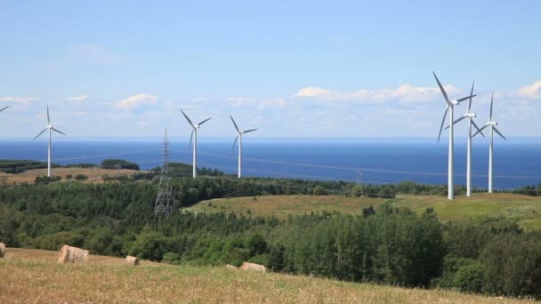 Поле ветряных турбин — стоковое видео