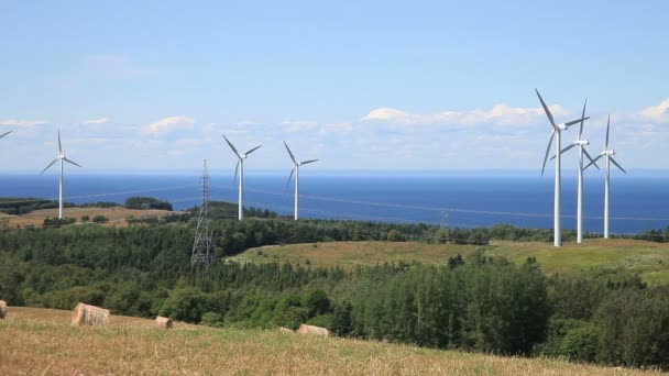 Campo de turbina eólica — Vídeos de Stock