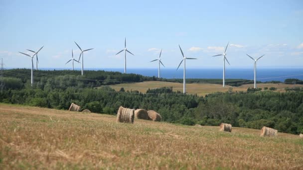 Větrná turbína pole — Stock video