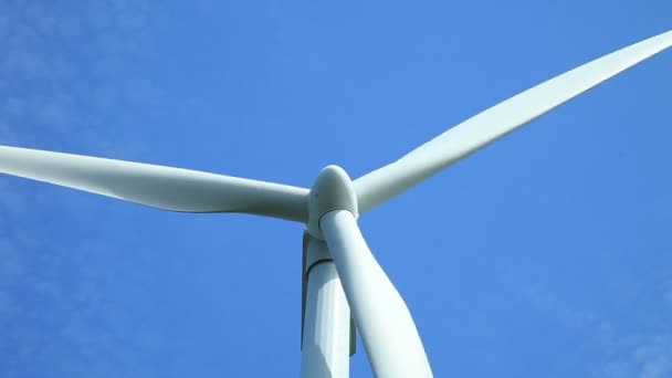 Wind turbine fältet — Stockvideo