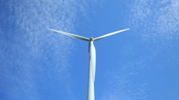 Windkraftfeld — Stockvideo